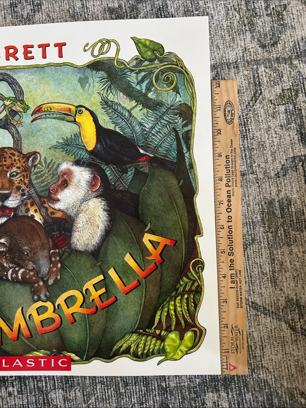 Scholastic Classroom Big Book- The Umbrella